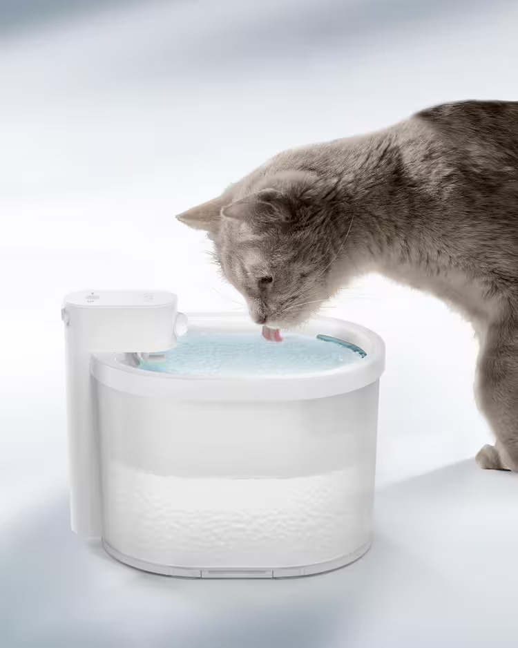 Automatic Water Fountain