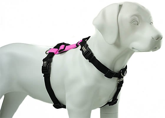 Adjustable Harness