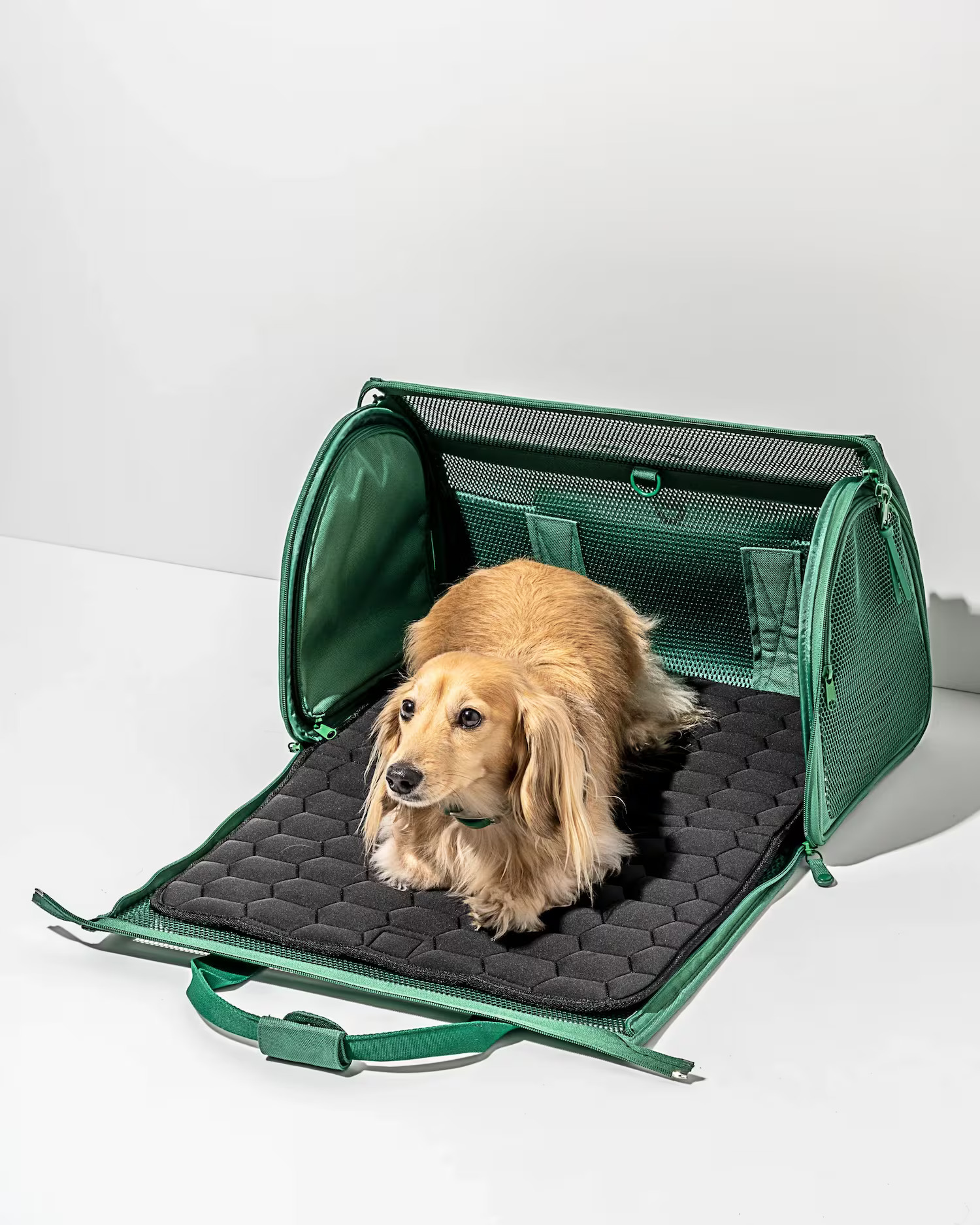 Airline Approved Pet Carrier