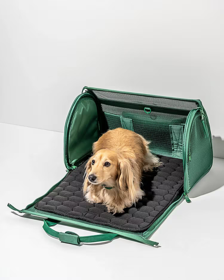 Travel Pet Carrier