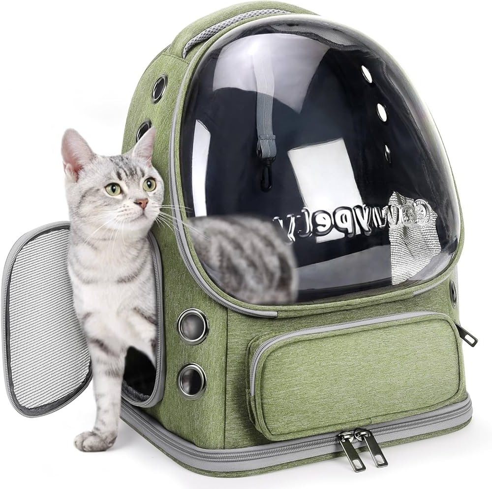 Pet Backpack