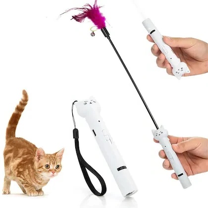 Laser Pointer Toy