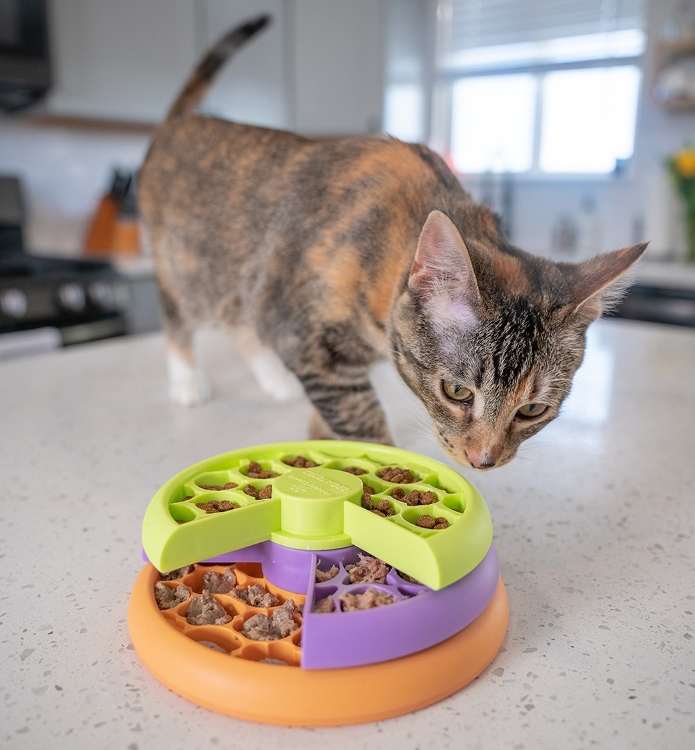 Puzzle Feeder Bowl
