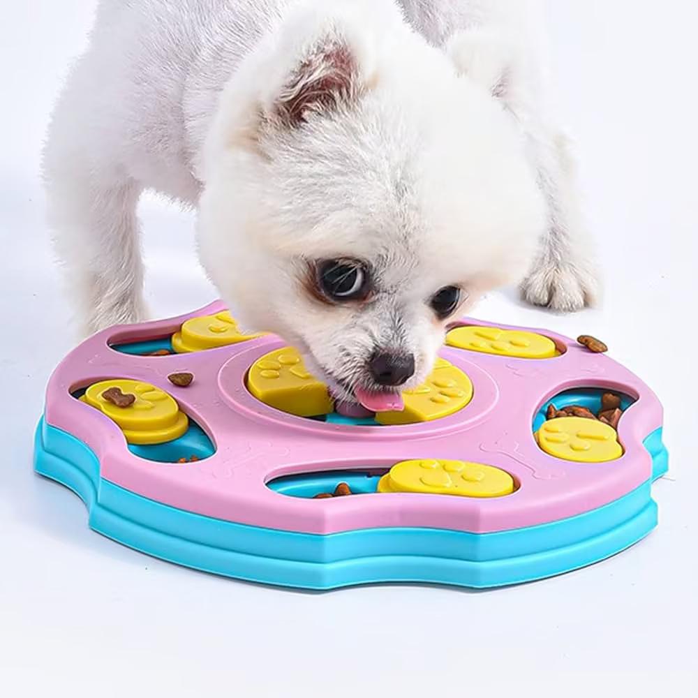 Interactive Puzzle Feeder