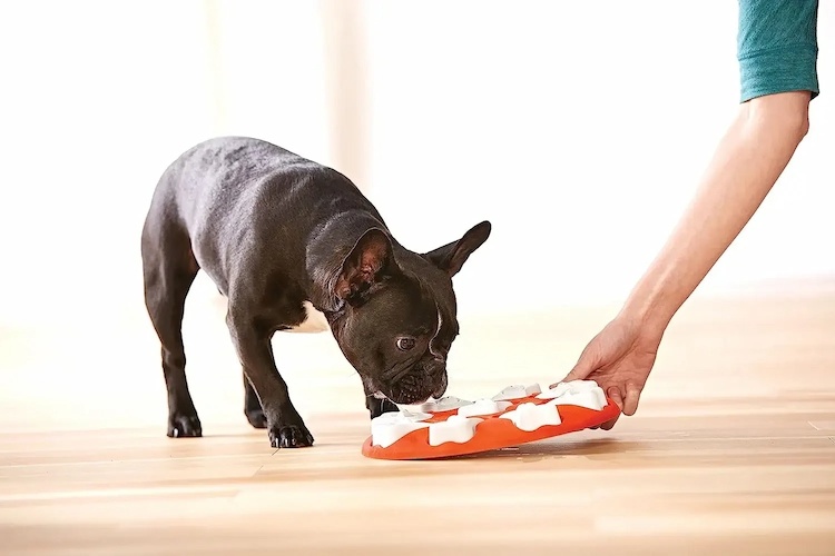 Interactive Dog Puzzle Toys
